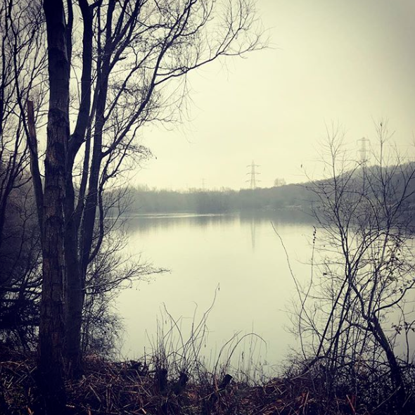 Clifton Country Park Banishing the January Blues - Do Walk in Clifton Country Park